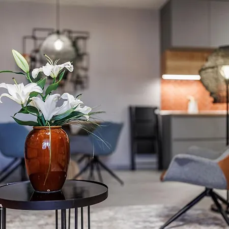 Zemplen Terrace - Luxusapartman A Belvarosban Kuelteri Fedett Jacuzzival